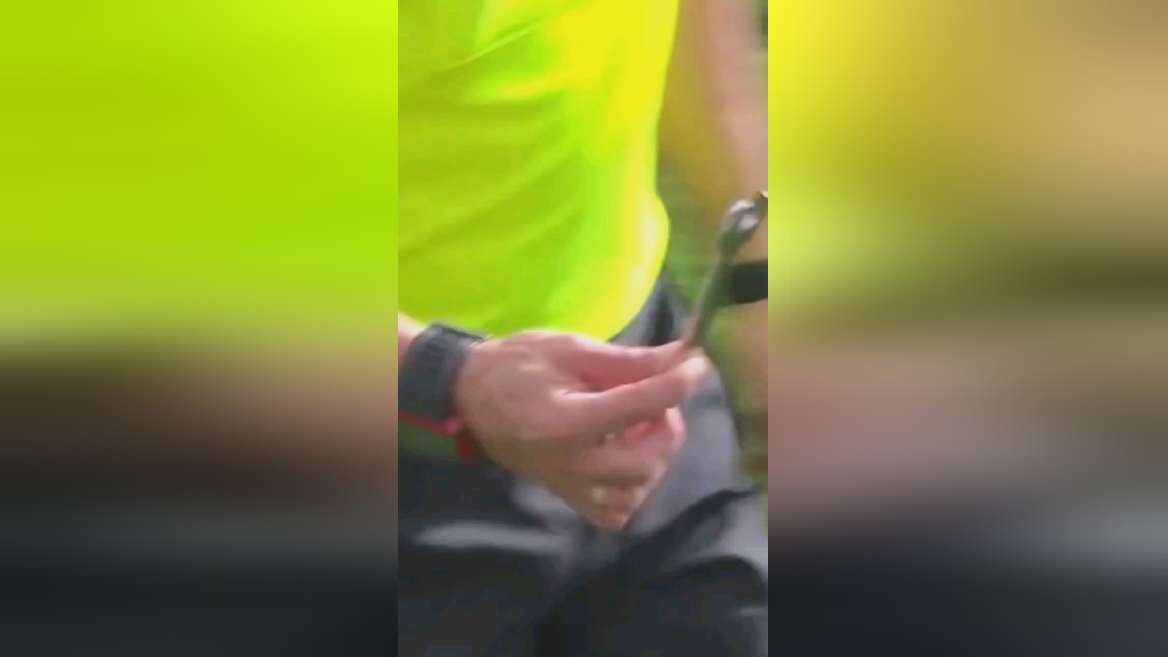 罗斯他在职